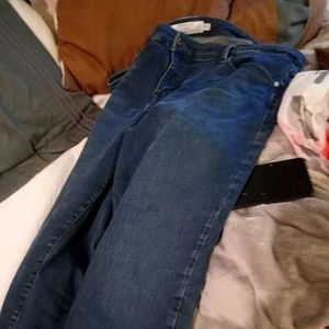 Torrid women's stretch jeans 20r